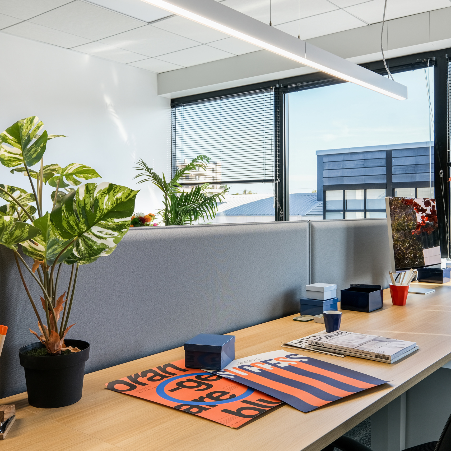 Bureaux partagés avec monstera, affiches graphiques et cloisonnettes acoustiques devant une baie vitrée, ESQUI STUDIO